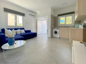 Phaedrus Living: Napa Blue Luxury Flat