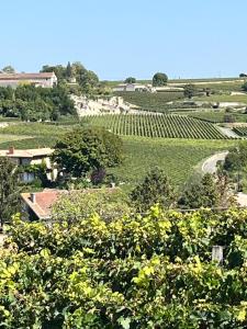 Appartements Les logis des Vignobles Sainte Emilion en Duplex n 3 avec terrasse : photos des chambres