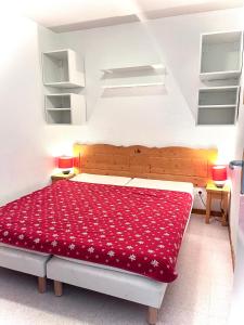 Appartements APPARTEMENT CHALETS DU SUPER D : photos des chambres