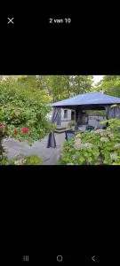 Dutch calmness - خنت