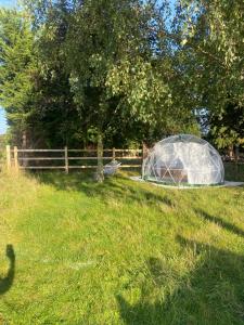 Country Bumpkins Luxury Igloo