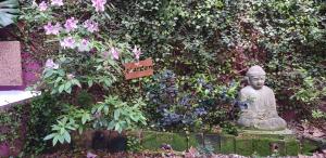 InspireBA - Garden