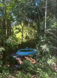 Villa medici macarena - camping