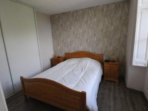 Appartements Luchon - 2 Pieces Cabine pour 6 Pers. avec Parking et Animaux admis - FR-1-313-226 : photos des chambres