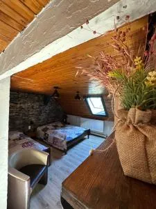 Ubytovanie Mrázik Hnilčík - 德丁基