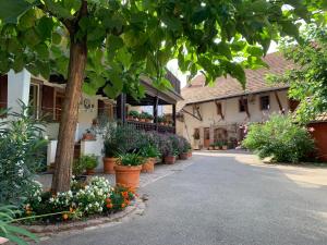 Appartements Appartement dans un corps de ferme alsacien : photos des chambres