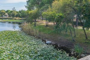 Appartements Gite les Moussaillons : photos des chambres