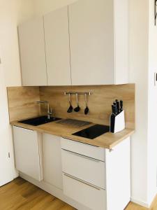 Terralpin Apartments - Charmante DG Wohnung mit Balkon