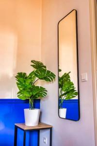 Colorful - Cathédrale