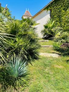 Maisons de vacances Superbe propriete avec piscine : photos des chambres