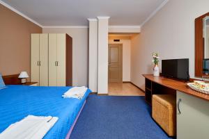 Superior Double Room with Balcony room in Hotel Electra