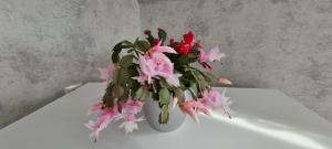 Ferienwohnung, Urlaub im Frankenwald