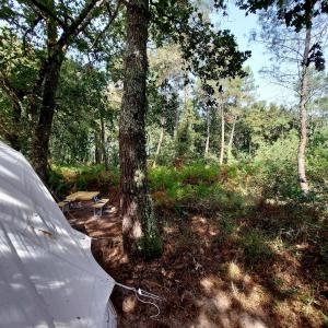 Tentes de luxe Grande Tente Tipi 4 personnes : photos des chambres