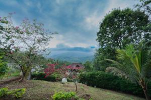 Misty Heights by The Sanihara