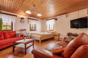 Kolpa Zupančič Vineyard Apartments 