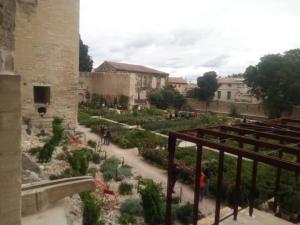 Appartements Gite LE PETIT LUBERON COQUELICOT : photos des chambres