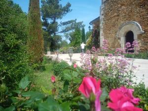 Appartements Gite LE PETIT LUBERON COQUELICOT : photos des chambres