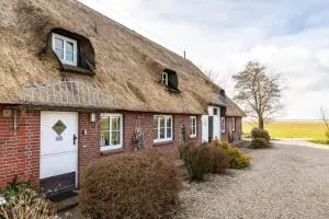 Schipp Landen Elsabea - Schobüll