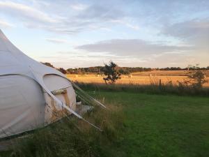 Wild Retreat