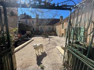 Maisons d'hotes 1 Rue Pasquet Pool Suite with Kitchen : photos des chambres