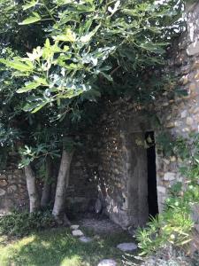 Appartements La petite maison de St Peray : photos des chambres