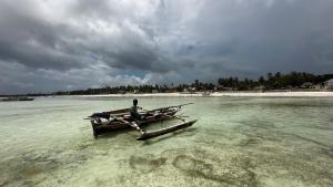 New Teddys on the Beach