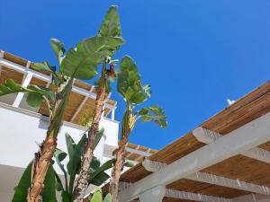 Casa Flora - Bed and Breakfast