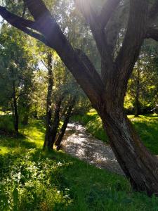 Mini Apart Noc w Centrum