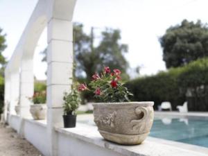 Maisons de vacances Bastide avec piscine et billard : photos des chambres