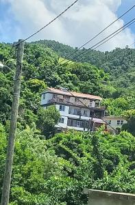 Canefield sea view apartment