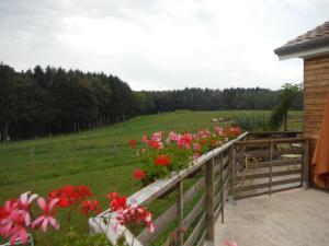 Maisons de vacances Gite Le clos du bannet : photos des chambres