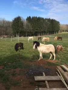 Gîte Le clos du bannet - 弗洛朗维尔