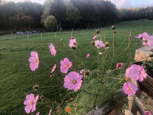 Maisons de vacances Gite Le clos du bannet : photos des chambres