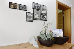 Ferienwohnung Saxenhammer