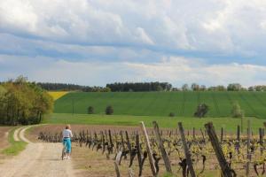 Maisons de vacances The Lake Cottage in Gascony France : photos des chambres