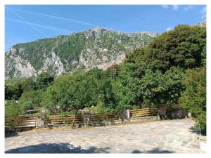 Orminia ground level