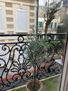 Maison Serpolette - maison entiere