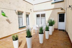 Appartements Villa Marine*Entre mer et Jardin : photos des chambres