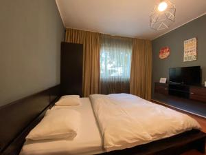 Lions Studio Dristor