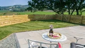 Hebog - Llanrhwydrys