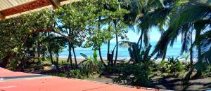 Tortuguero Adventures Beach House