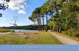 Campings Mobilandes Sanguinet : photos des chambres