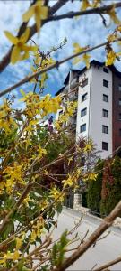 Apartman Velles Zlatibor