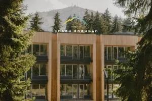 Kokhta - Mitarbi Apartment , Bakuriani - Didi Mitarbi