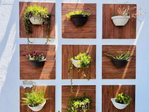 Meson del capitan 8 depa en el centro!