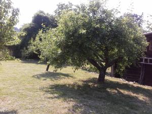 A fine 2 bedroom stone house in Emila