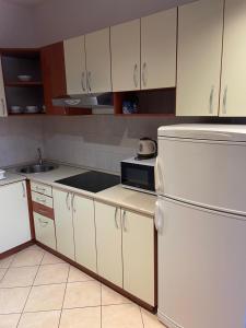 Apartments Belic with pool