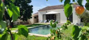 Van Gogh en Provence - Caphan