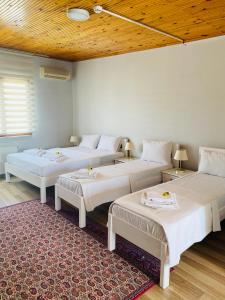 Stylish Hotel Old City