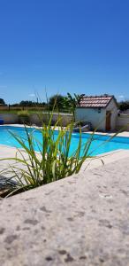 Gites Le Grand Tornage a paradise for friends and families